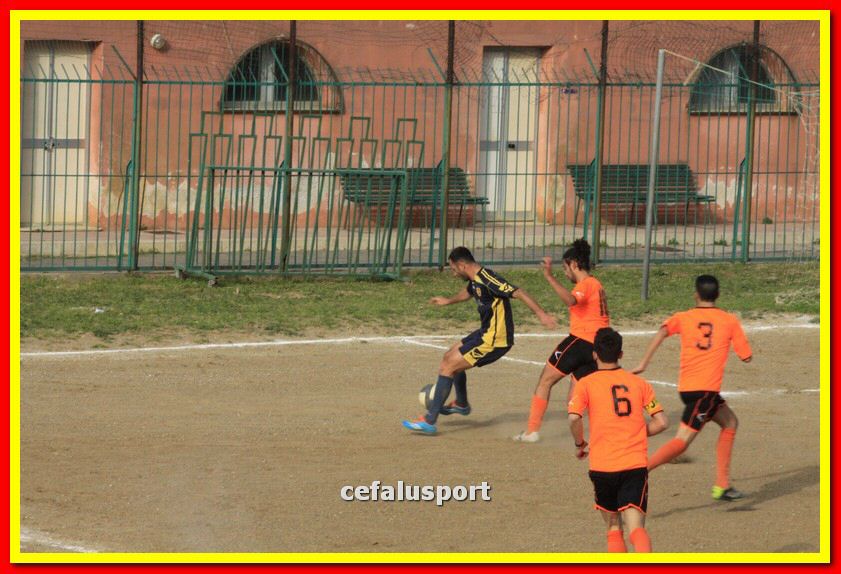 150321 stefanese 316_tn.jpg